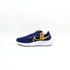 Nike Air Zoom Pegasus 39 Run