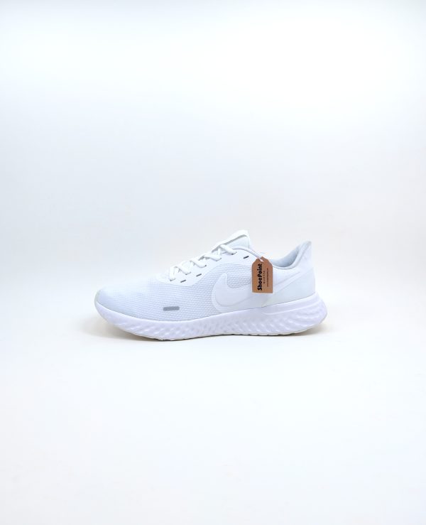 Nike Men's Revolution 5 Running