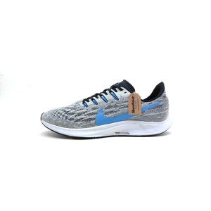 Nike Zoom Pegasus Running